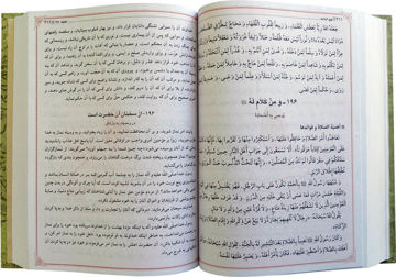 تصویر  نهج البلاغه قطع جیبی جلد سلفون سخت آیین