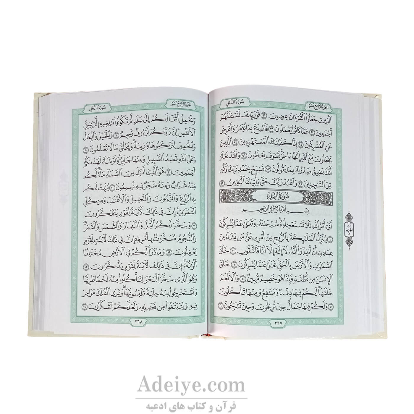 قرآن عثمان طه رقعی بدون ترجمه کرم_|عکس از متن