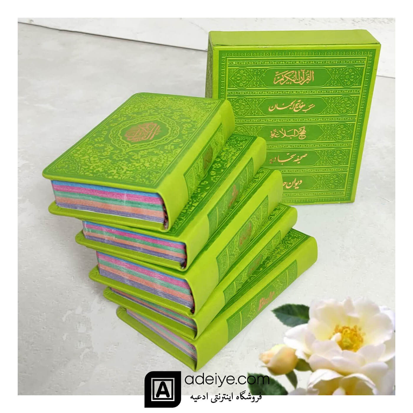 پک پنج جلدی پالتویی ترمو سبز